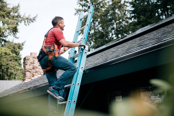 Best Roof Insulation Installation  in Frewsburg, NY